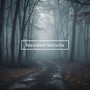 Naturaleza Nocturna: Sonidos Oscuros del Bosque para Dormir, Hipnosis y Relajación