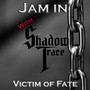 Victim of Fate (Remixes)