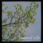 Natural Life (Extended Mix)