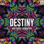 Destiny (Original Mix)