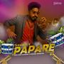 Kawadi Papare Dance Mix