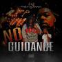 No Guidance (Explicit)