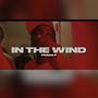 In The Wind (Explicit)