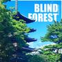 Blind Forest