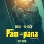 PAM PANA (feat. B-FACE)