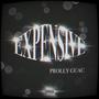 EXPENSIVE (Explicit)