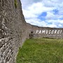 Pamusoroi