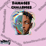 Damages&Challenges