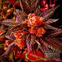 Dumile (Explicit)