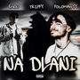 NA DLANI (feat. Trippy DFS & Polomanyy) [Explicit]