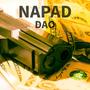 NAPAD (Explicit)