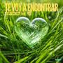 Te Voy a Encontrar