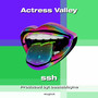 Actress Valley (Explicit)