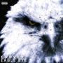 Eagle Eye (Explicit)