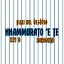 Nnammurato 'e te (feat. imromita & Figli Del Vesuvio)