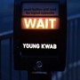 Wait (Explicit)