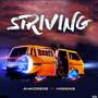 striving (Explicit)