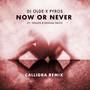 Now or Never (feat. Treesha & Denham Smith) [Calligra Remix]