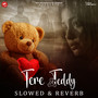 Tere Teddy (Slowed & Reverb)