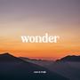 Wonder