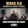 Dorm dusmanii mei adanc (Live)