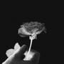 linger.