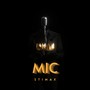 MIC