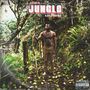 Lucid II: The Jungle (Explicit)