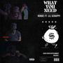 What You Need (feat. Lil Scrappy) [Explicit]