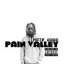 Pain Valley (Explicit)