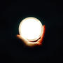 To The Light
