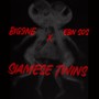 Siamese Twins (Explicit)