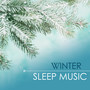 Winter Sleep Music - Relaxing Nature Sounds for a Cold City Night