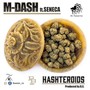 Hashteroids (feat. Seneca) [Explicit]