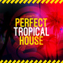 Perfect Tropical House