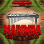 Cumbias Con Marimba Vol. 39