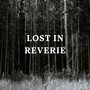 Lost in Reverie