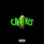 Cactus (Explicit)