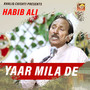 YAAR MILA DE