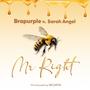 Mr Right (feat. Sarah Angel)