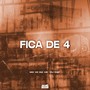 FICA DE 4 (Explicit)