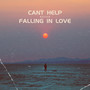 Can't Help Falling in Love