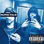 NUMAI FALSI (Explicit)