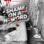 Shame on a N word (Explicit)