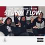 Sturdy Flow (feat. LTM EMAN & LTM CAM) [Explicit]