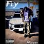 FLY (Explicit)