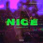 NICE (Explicit)