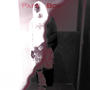 PAPER BOY (Explicit)