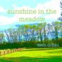 sunshine in the meadow