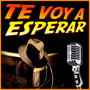 Te Voy a Esperar - Single